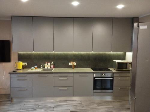 a kitchen with stainless steel cabinets and a sink at Riga,Hospitalu,3 in Rīga