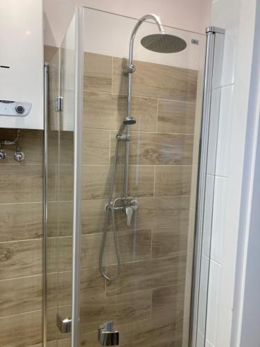 a shower with a glass door in a bathroom at Tabago Studio 7 in Kędzierzyn-Koźle
