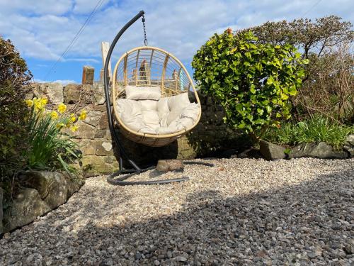 a swing in a garden with rocks and flowers at 40 Main Street in Burntisland
