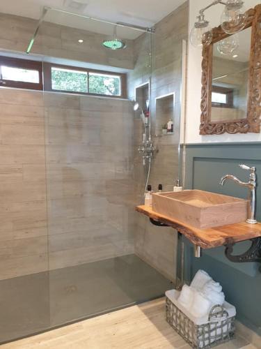 a bathroom with a shower with a sink and a mirror at St Patrick's Cottage in Saul