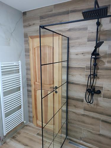 a glass shower in a room with a wooden wall at Villa Ema in Sarajevo