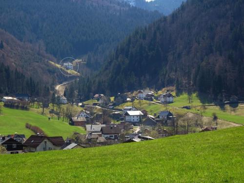 a small village on a hill with a green field at Maria Theresia Berghaus Apartments in Bad Ischl