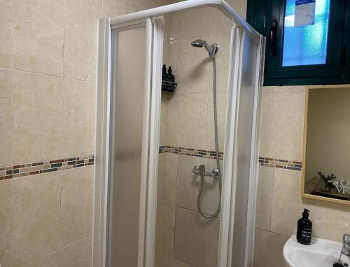 a shower with a glass door next to a sink at Estudio LA HIGUERA in Argés