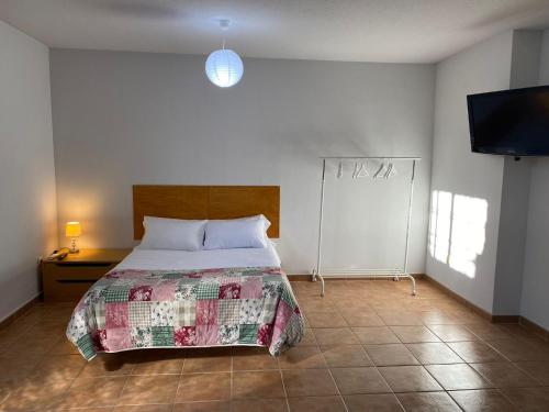 a bedroom with a bed and a flat screen tv at Estudio LA HIGUERA in Argés