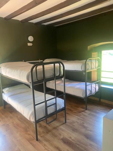 2 Etagenbetten in einem Zimmer mit grüner Wand in der Unterkunft Albergue de Arrojo in Bárzana