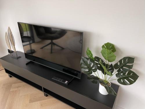 een flatscreen-tv zittend op een zwarte stand met een plant bij Edelhert, moderne en comfortabele vakantiewoning met hottub! in Ermelo