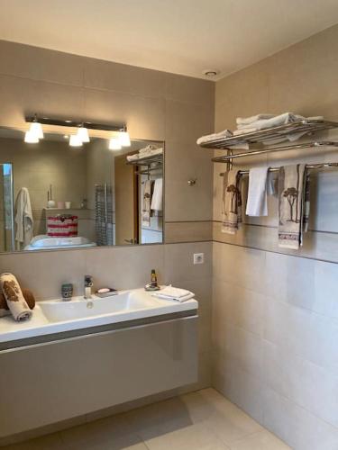 une salle de bain avec un lavabo et un miroir dans l'établissement Villa Ty Laouen, à Opio
