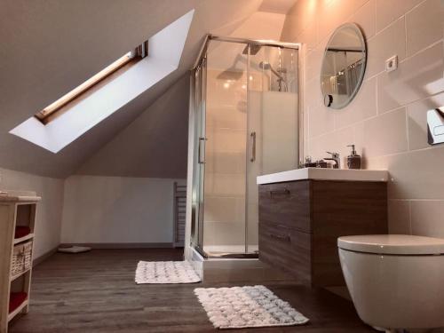 ein Bad mit einer Dusche, einem WC und einem Waschbecken in der Unterkunft Le papillon,Logement cosy en Alsace in Erstein