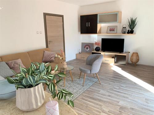 a living room with a couch and a tv at Apartment Lupo in Vodnjan