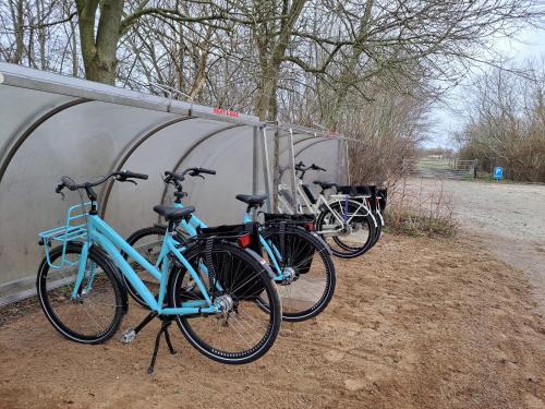 eine Gruppe von Fahrrädern, die neben einem Gebäude geparkt werden in der Unterkunft Silver Garden in Oosterend