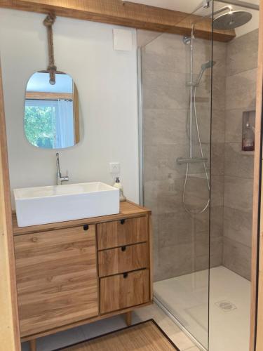ein Bad mit einem Waschbecken und einer Dusche in der Unterkunft Ti'colombier d Azur in Trans-en-Provence
