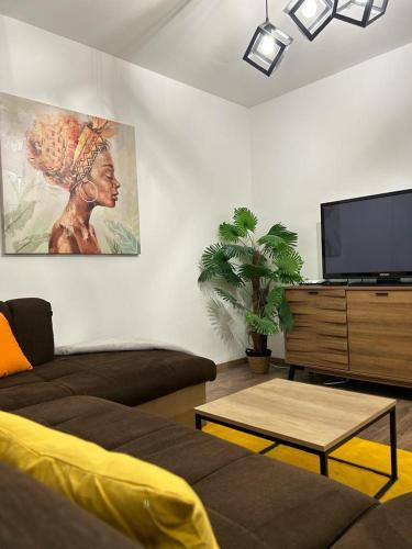 TV a/nebo společenská místnost v ubytování Apartman Nika