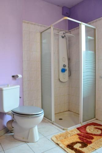 une salle de bain avec une douche avec des toilettes et un lavabo dans l'établissement La maison bleue, à Mittelhausen