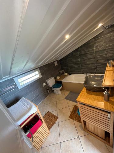a bathroom with a toilet and a sink and a tub at La villa exotik in Saint-Louis