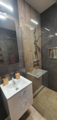 a bathroom with a sink and a shower at Zajazd Stronie in Stronie Śląskie