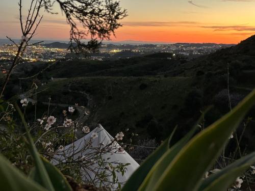 a view of a sunset from a hill with flowers at Glamping Finca el Olivo in Mijas