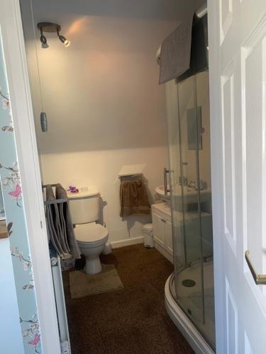 a bathroom with a toilet and a glass shower at Seaways Cottage Hoylake in Hoylake