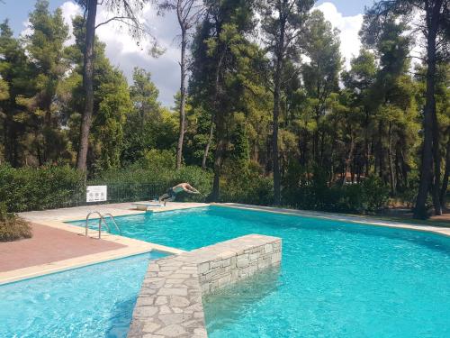una persona está saltando a una piscina en Sani Villa Christy, en Sani Beach