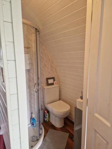 a small bathroom with a toilet and a shower at Jerusalem Farm Pods in Tranent