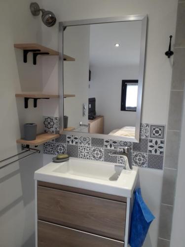 une salle de bain avec un lavabo et un miroir dans l'établissement Entre lac et montagne, à Bilieu