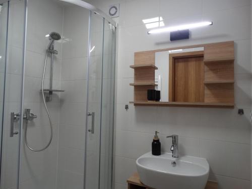 a bathroom with a shower and a sink at Apartamenty Tatrzańska Dolina in Kościelisko