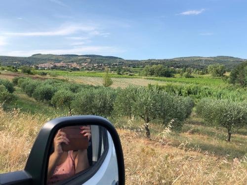 a woman in a car mirror looking at a field at Val des Bruyères - gîte 15mn Pézenas avec terrasse et cour close - Parking privatif securisé - wifi FTTH gratuit in Néffiès
