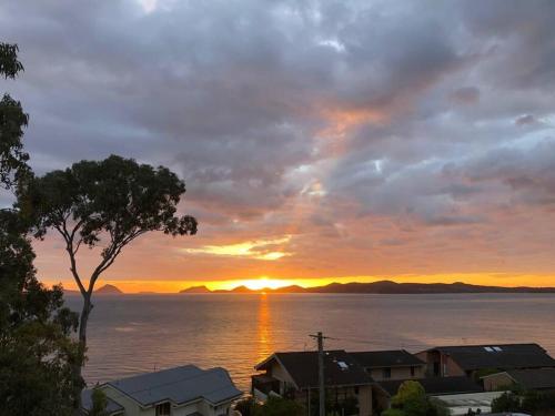 a sunset over the water with houses and a tree at Tranquil Escape - Koala Hotspot - 2 Bed 2 Bath Apt Spectacular Sea Views in Soldiers Point