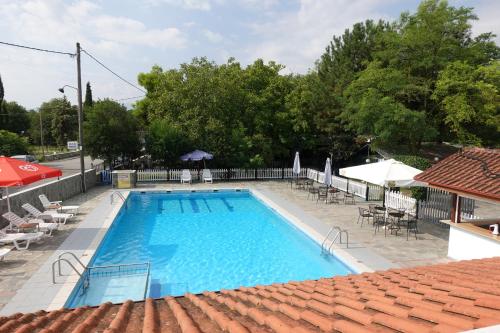 a large swimming pool with chairs and umbrellas at Camping Mitikas and Bungalows in Plaka Litochorou