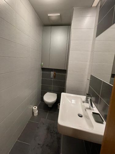 a bathroom with a sink and a toilet at Apartmán v srdci Beskyd - Čeladné in Kunčice pod Ondřejníkem