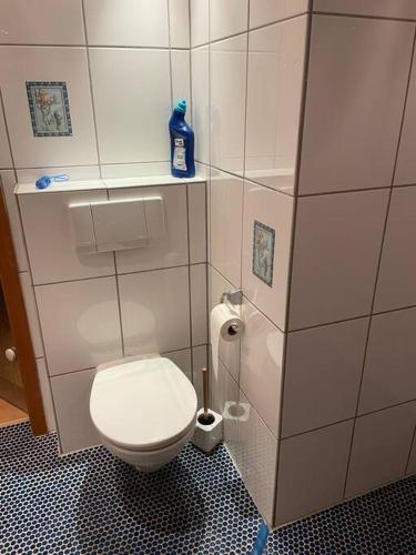 a bathroom with a white toilet in a stall at Apartment im Pfälzerwald in Lambrecht