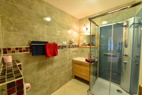 a bathroom with a shower and a sink at Au Pied du Chateau in Lourdes