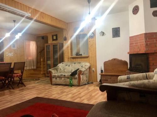 ein Wohnzimmer mit einem Sofa und einem Kamin in der Unterkunft Sugas Villa in Sfântu Gheorghe