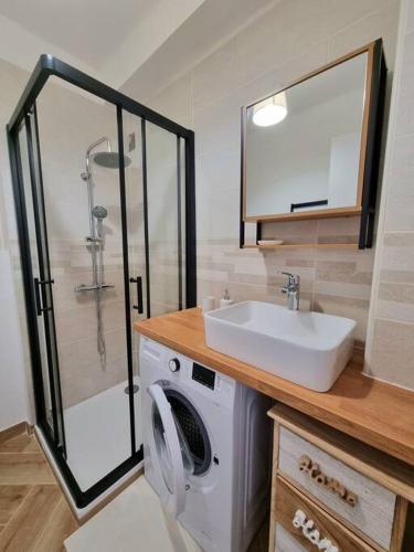 une salle de bain avec un lavabo et une machine à laver dans l'établissement Les studios d'Aurélia - Grand Théâtre de Provence, à Aix-en-Provence