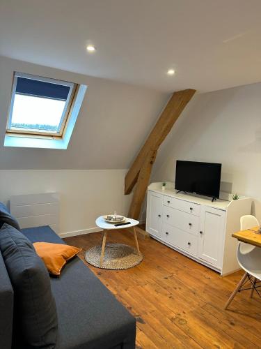 un salon avec un canapé et une télévision dans l'établissement Superbe appartement proche centre ville, thermes, à Bagnères-de-Bigorre