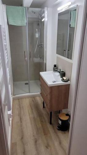 une salle de bain avec un lavabo et une douche dans l'établissement Appart’ entièrement rénové au centre ville St Étienne, à Saint-Étienne