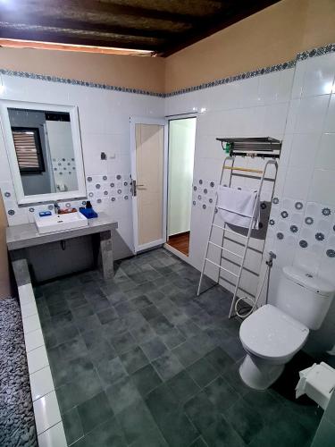 a bathroom with a toilet and a sink and a mirror at Beach House Penida in Nusa Penida