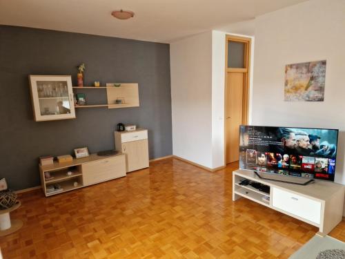 ein Wohnzimmer mit einem großen Flachbild-TV in der Unterkunft Apartment Pepi in Biograd na Moru