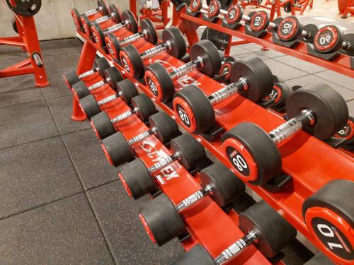 a row of orange dumbbells in a gym at Morros del Pacífico in Pichilemu