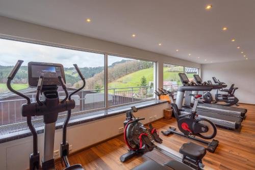 Gimnasio o equipo deportivo en Hotel Dollenberg