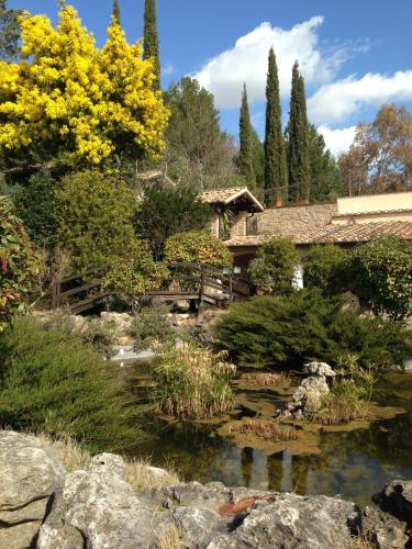 a garden with a pond in front of a house at Bagno Santo Residence in Saturnia