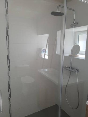 a bathroom with a glass shower with a sink at Appartement duplex 4 personnes in Loiré-sur-Nie