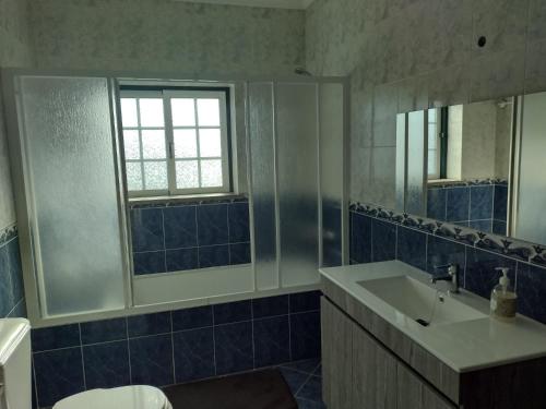 ein Bad mit einem Waschbecken, einem WC und einem Fenster in der Unterkunft MaJô Alojamento Local in Tábua