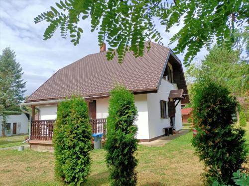 a white house with a brown roof and two bushes at Vadása Nyaraló in Hegyhátszentjakab