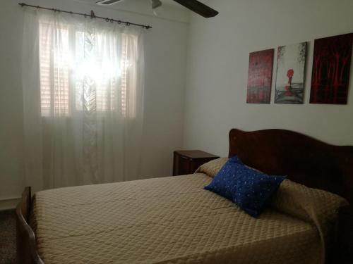 a bedroom with a bed with a blue pillow and a window at Las Acacias Apart in San Miguel de Tucumán