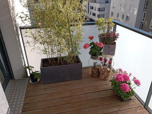 a balcony with several potted plants and flowers on it at Chambre nature chez l'habitant in Strasbourg