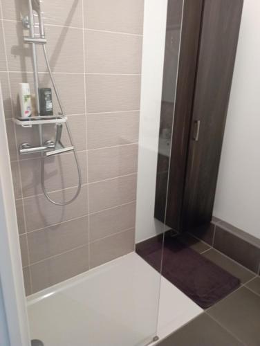 La salle de bains est pourvue d'une douche avec une porte en verre. dans l'établissement Chambre nature chez l'habitant, à Strasbourg