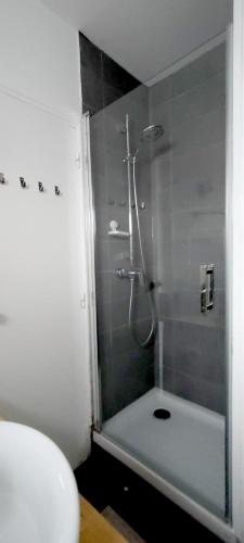 une salle de bain avec une douche avec des toilettes et un lavabo dans l'établissement Le loft-boat, à Deauville