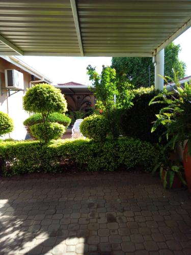 a patio with bushes and a building with a roof at Antique Home BnB in Gaborone