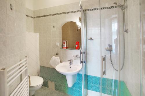 a bathroom with a shower and a sink and a toilet at Pension Harmonie in Hrubá Skála