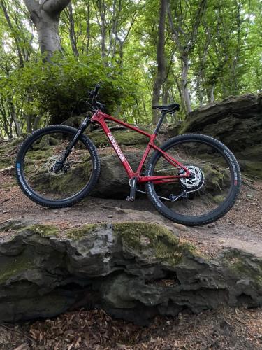 a red bike is parked on a rock at Hotel Wittekindsquelle in Bad Oeynhausen